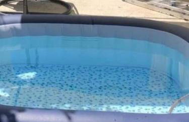 Apartments Ivi - Photo 1