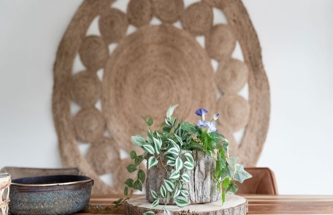 Idyllic Holiday Home in Ooltgensplaat With Private Terrace - Photo 23