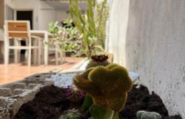 Amore Salentino - Dein Ferienhaus im Herzen des Salento - Foto 39