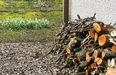 River house - Foto 38