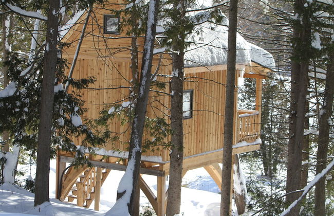 Les Chalets du Trappeur - Photo 28