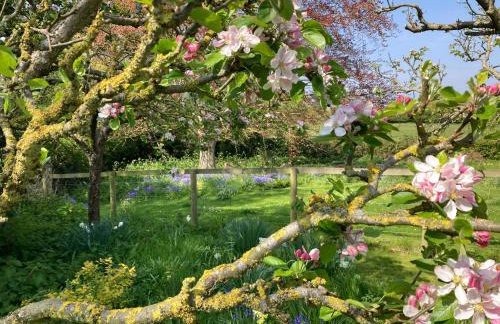 Simpers Drift, Great Glemham - Foto 22