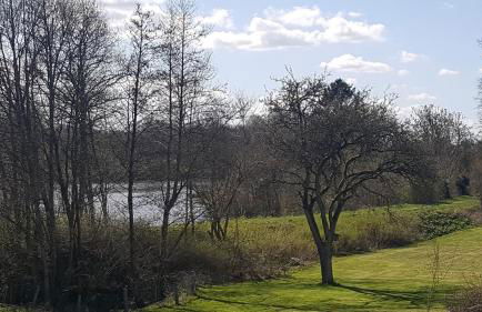 Ferienwohnung Seeblick - Foto 32