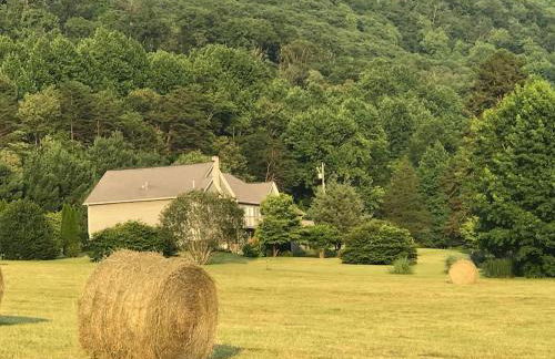 Three Springs Plus - Foto 35