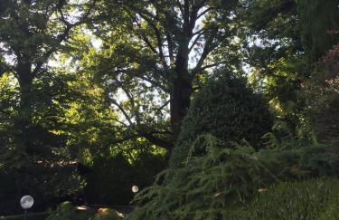 Il Pioppo Antico - Photo 59