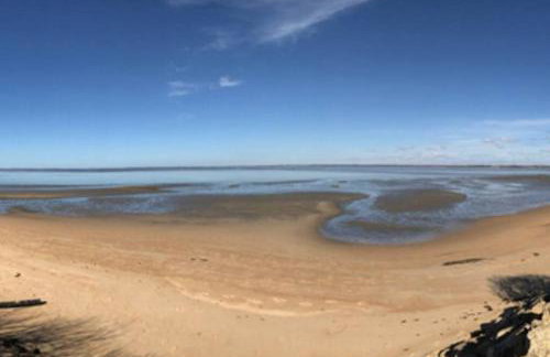 La cabane de Carol au coeur du bassin d'Arcachon - Foto 21