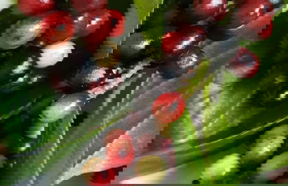 Phuchada Residence - Foto 30