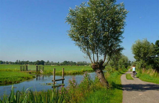 Ruyge Weyde Logies -The Farmer's Daughter - Photo 26