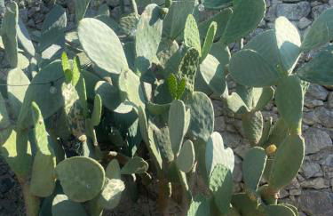 Manie di mare bikers friendly - Photo 8