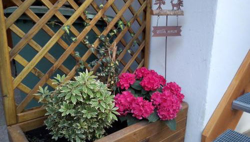 Ferienwohnung Bergzeit - Foto 2