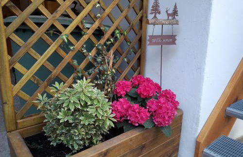 Ferienwohnung Bergzeit - Foto 2