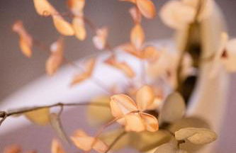 Ferienwohnung Auszeit mit Waldgeflüster 35231 - Foto 24