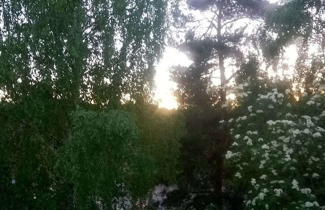 Spacious 4 Room Apartment & Sauna - Photo 30