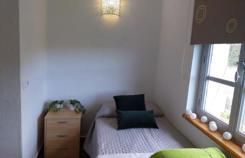 Ave Ibis eremita Vejer - Foto 13