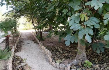 Masia Rosalia - Foto 23