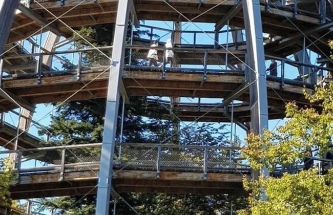 Holiday Apartment Breit - Foto 23