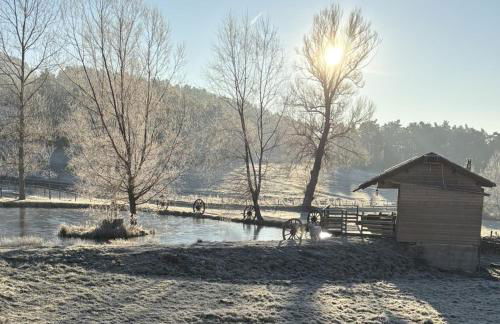 Cabane au bord d'un étang - Foto 27