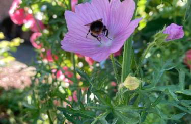 Ferienwohnung Nordnest - Foto 36