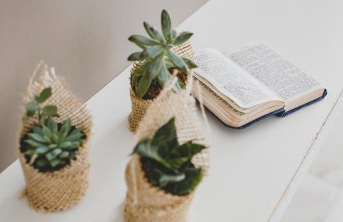 Suite Luxo com Piscina Privativa e Jacuzzi - Foto 20