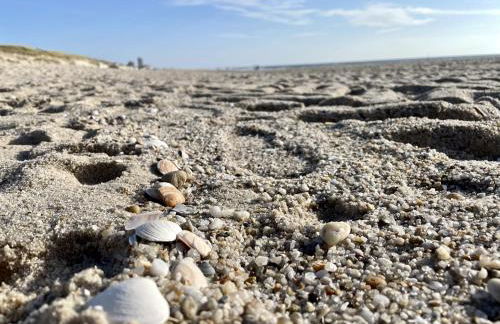 Strandsonne - Foto 19