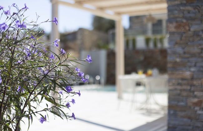 Virginia Luxury Villas - Photo 5