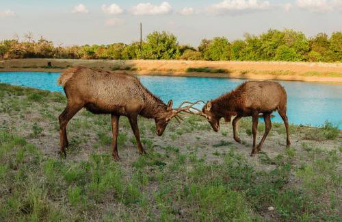 Bent Creek Lodge - Photo 7