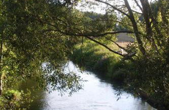 Zur alten Jugendherberge - Foto 27