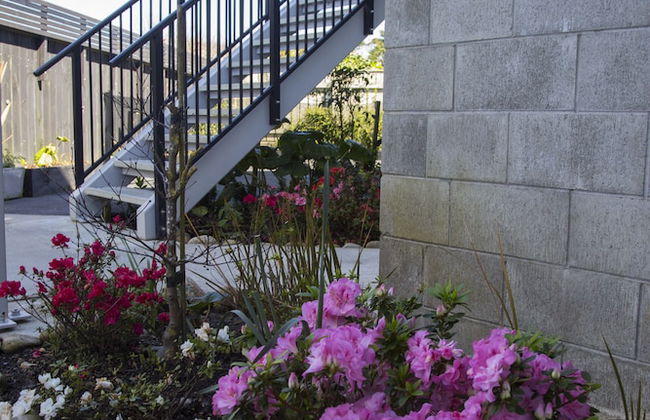 Carters By The Sea Westport - Foto 42