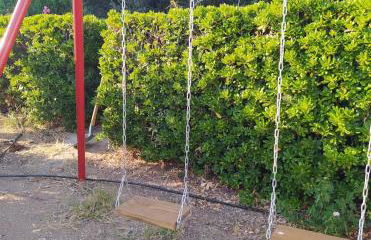 Cuckoo's nest - Photo 24