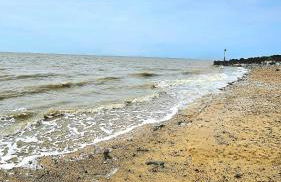 Pura Vida Caravan - Foto 20