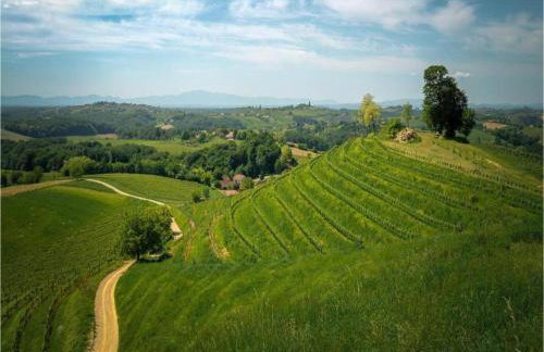 Torine - Capacious Holiday Home in Neorić with Heated Swimming Pool - Foto 53