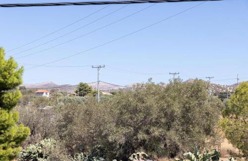 The Pines apartment - Foto 27