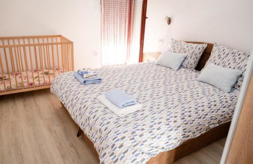 Dalmatian - Photo 31