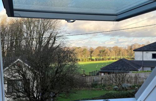 Peacock cottage - Foto 14