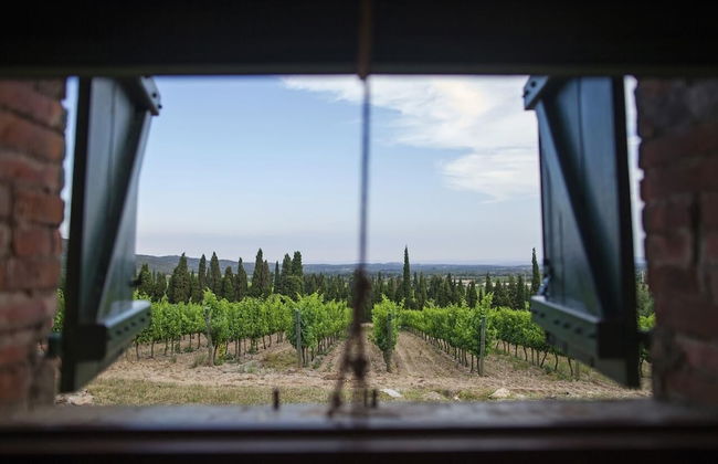 El Recer de Masia Serra - Adults Only - Foto 30