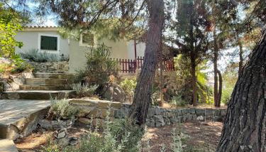 Kalyva Cottage - Foto 5, Garden, Garden view