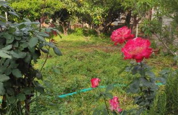 Garden house - Photo 23