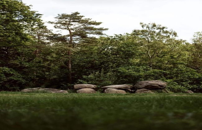 Cozy Holiday Home in a Lovely Environment - Photo 23