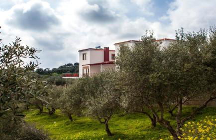 Fοivos and Athina Villas - Foto 42