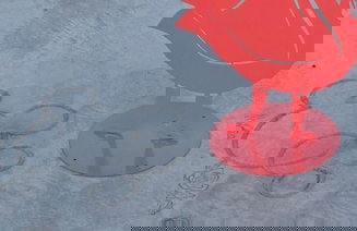 The New Star Motel with Studio-Kitchens: 1950s Extended-Stay Lodging and Retreat Center - Foto 112