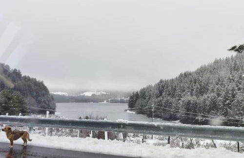 LORICAskiHOME - Foto 56