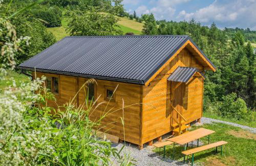 Domek Bieszczady Jezioro Solińskie - Photo 21