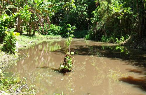 Casa Bella vista - Foto 11