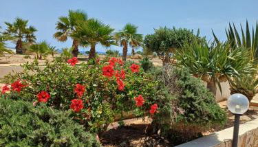 Residence Punta Sottile Lampedusa 150 mt dalla spiaggia cala francese - Foto 3, Garden view