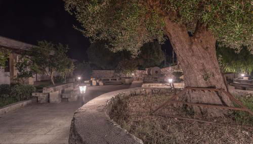 Masseria Cinti - Foto 3, Garden view