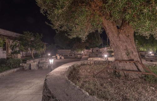 Masseria Cinti - Foto 3