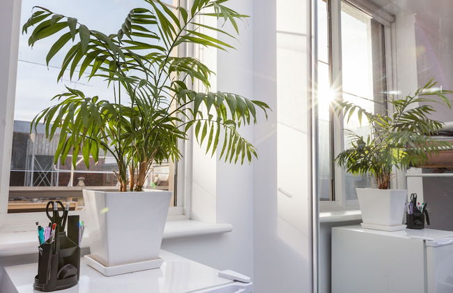 HENRIETTA, Carlton Studio Apartment - Photo 7