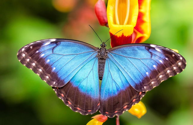 Modern Villa With Terrace and Garden in Dirkshorn - Foto 40