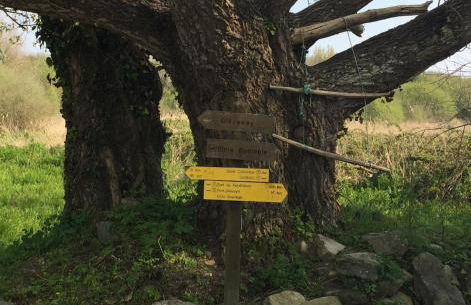 APPT T2 PROCHE PLAGE - Foto 29