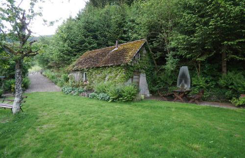 Hörnleberg - Stubenhof, Black Forest - Foto 15